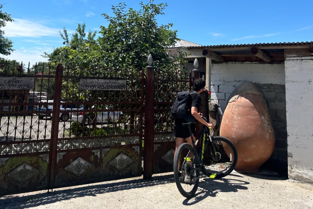 Baia's Winery bike tour